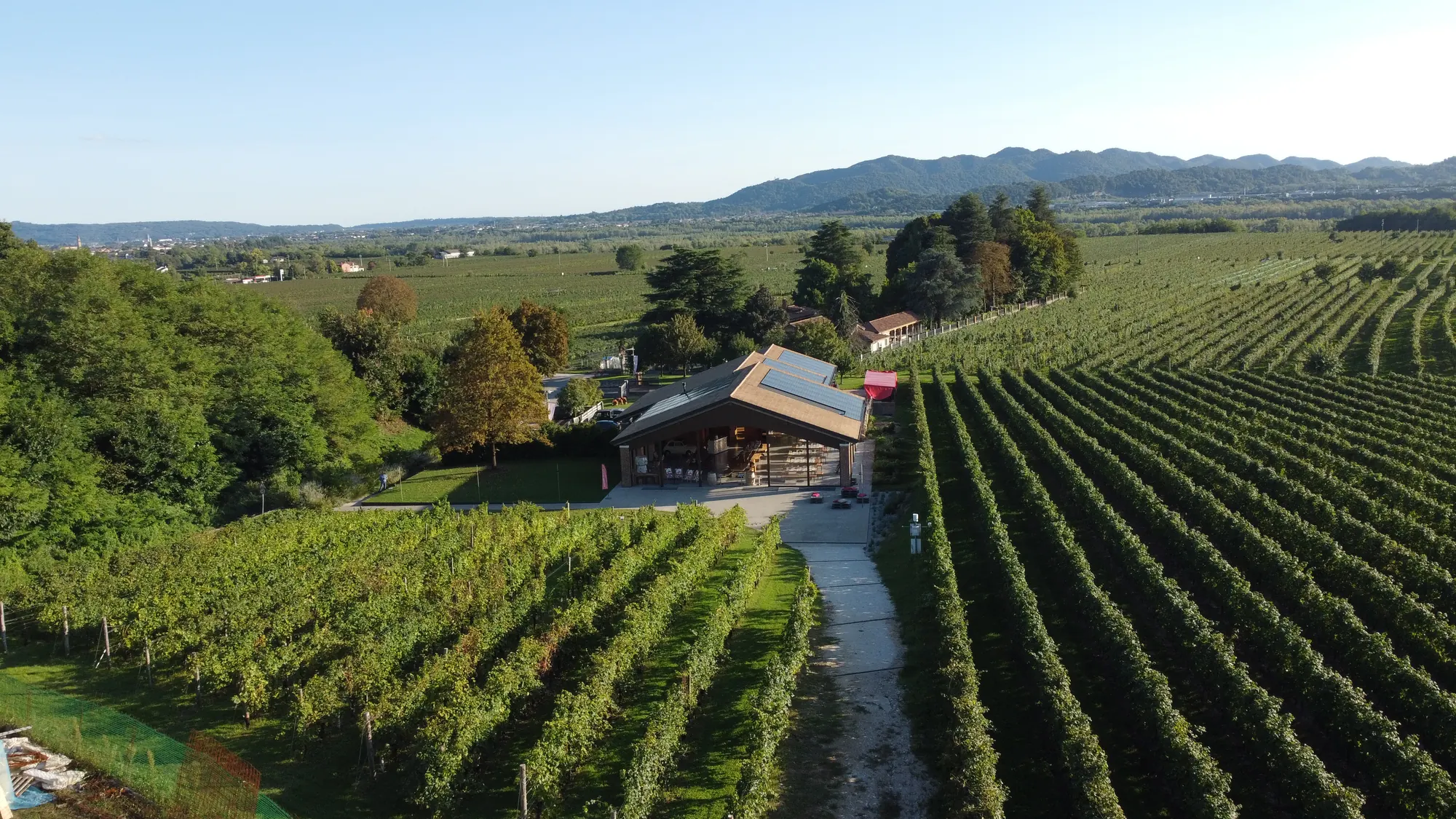 Veduta aerea dei vigneti e della cantina a Valdobbiadene